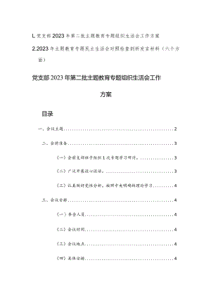党支部2023年第二批主题教育专题组织生活会工作方案及范文.docx