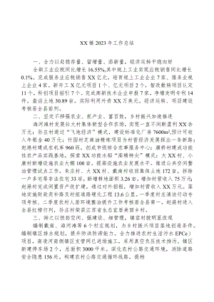XX镇2023年工作总结.docx