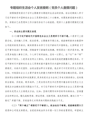 专题组织生活会个人发言提纲（党员个人查摆问题）.docx
