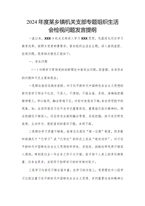 2024年度某乡镇机关支部专题组织生活会检视问题发言提纲.docx