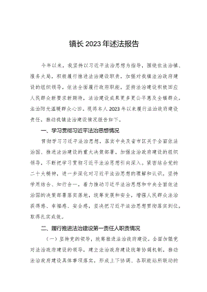 镇长2023年述法报告五篇.docx