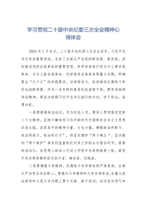 纪检人员学习贯彻二十届中央纪委三次全会精神心得体会十九篇.docx