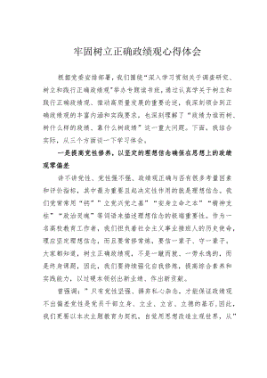 牢固树立正确政绩观心得体会.docx