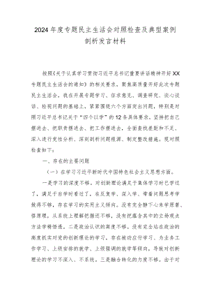 2024年度专题民主生活会对照检查及典型案例剖析发言材料.docx