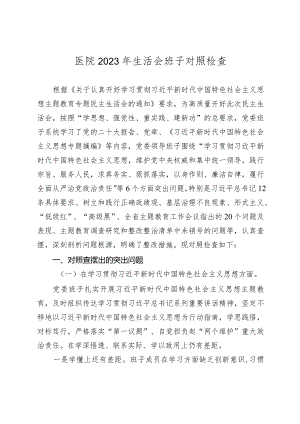 医院2023-2024年度专题民主生活会新六个方面班子对照检查（典型案例+上年度整改）.docx