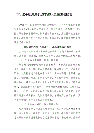 市行政审批局局长述学述职述廉述法报告.docx