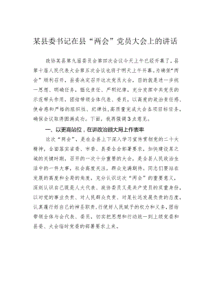 某县委书记在县“两会”党员大会上的讲话.docx