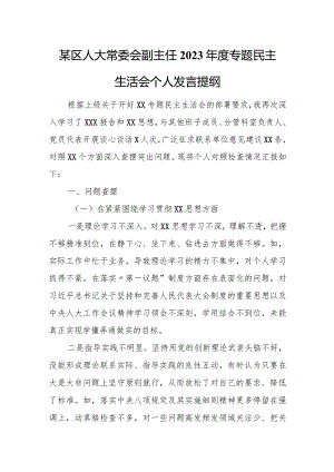某区人大常委会副主任2023年度专题民主生活会个人发言提纲.docx