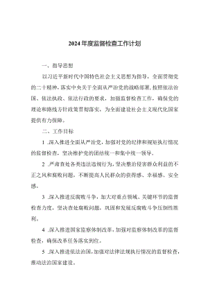 2024年度监督检查工作计划.docx