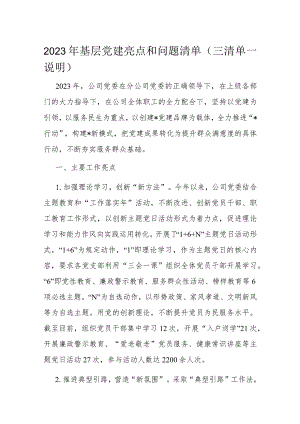 2023年基层党建亮点和问题清单.docx