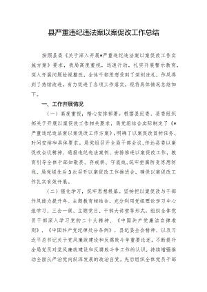 县严重违纪违法案以案促改工作总结.docx