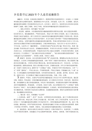 乡党委书记2023年个人述责述廉报告.docx