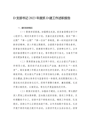 党支部书记2023年度抓党建工作述职报告.docx