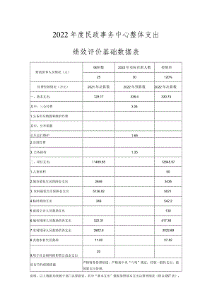 2022年度民政事务中心整体支出绩效评价基础数据表.docx