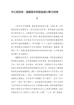 中心组发言：强基固本筑堡垒凝心聚力担使命.docx
