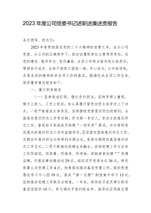 2023年度公司党委书记述职述廉述责报告.docx