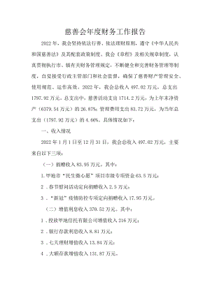 慈善会年度财务工作报告.docx