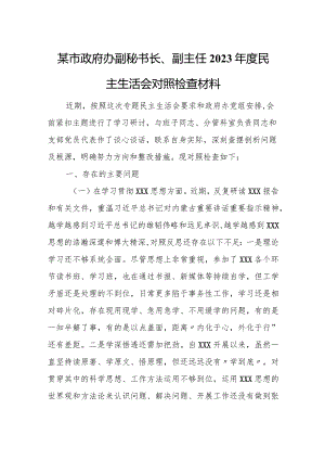 某市政府办副秘书长、副主任2023年度民主生活会对照检查材料.docx