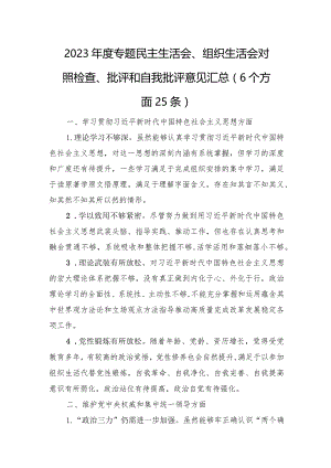 2023年度专题民主生活会、组织生活会对照检查、批评和自我批评意见汇总（6个方面25条）.docx