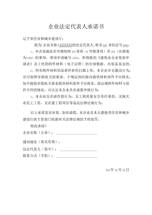 企业法定代表人承诺书.docx