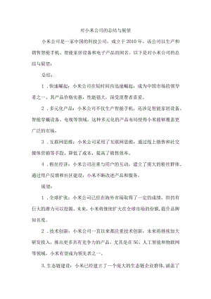 对小米公司的总结与展望.docx