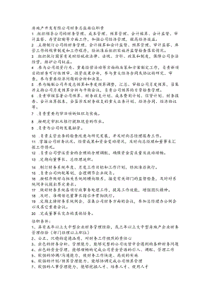 房地产开发有限公司财务总监岗位职责.docx