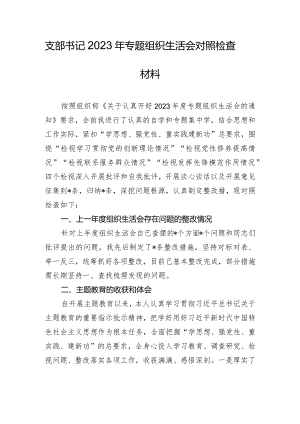 支部书记2023年专题组织生活会对照检查材料.docx