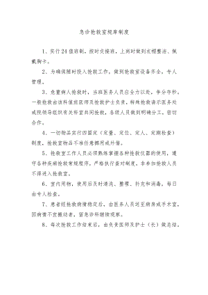 急诊抢救室规章制度.docx