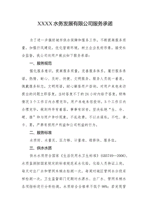 水务发展有限公司服务承诺.docx