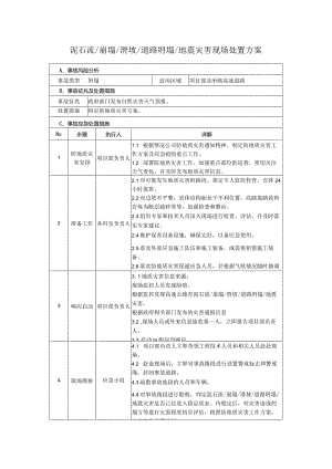 22 泥石流、崩塌、滑坡、道路坍塌、地震灾害现场处置方案.docx