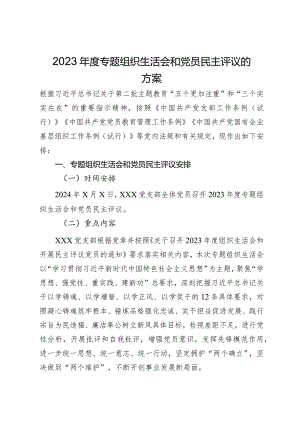 2023年度专题组织生活会和党员民主评议的方案.docx