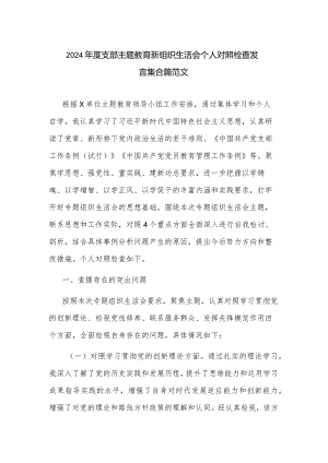 2024年度支部主题教育新组织生活会个人对照检查发言集合篇范文.docx