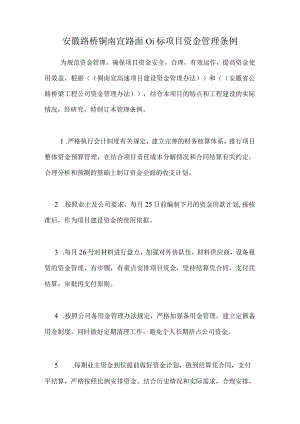 铜南宣路面01标项目资金管理办法.docx