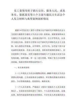 党工委领导班子践行宗旨、服务人民、求真务实、狠抓落实等六个方面专题民主生活会个人发言材料与典型案例剖析情况.docx