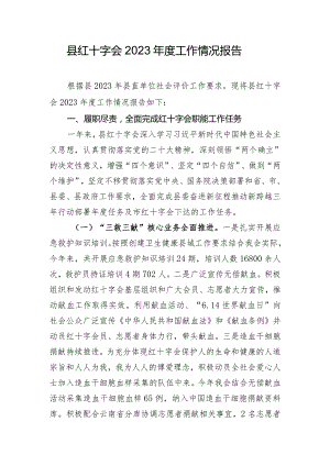 县红十字会2023年度工作情况报告.docx