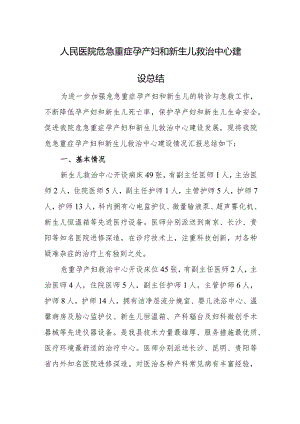 人民医院危急重症孕产妇和新生儿救治中心建设总结.docx