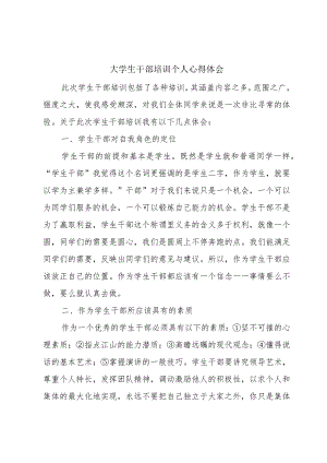 大学生干部培训个人心得体会.docx