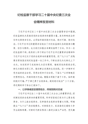 纪检监察干部学习二十届中央纪委三次全会精神发言材料.docx