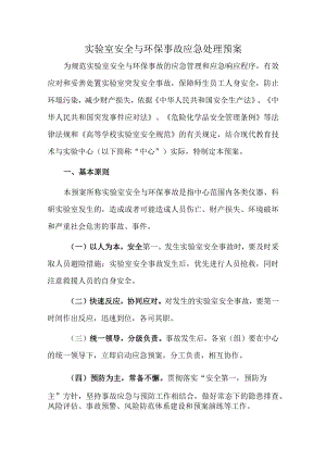 实验室安全与环保事故应急处理预案.docx