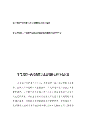 学习贯彻中央纪委三次全会精神心得体会发言、学习贯彻在二十届中央纪委三次全会上的重要讲话心得体会.docx
