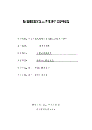 岳阳市财政支出绩效评价自评报告.docx