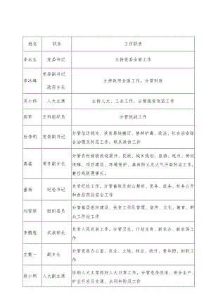 工作职责东团堡乡领导干部分工表.docx