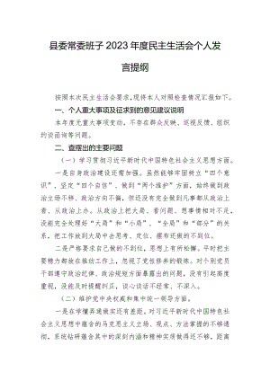 县委常委班子2023年度民主生活会个人发言提纲.docx