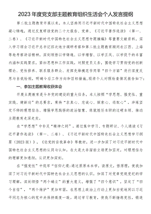 2023年度党支部主题教育组织生活会个人发言提纲.docx