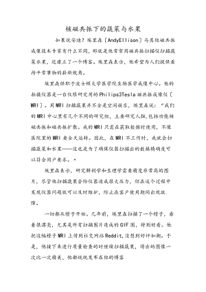 核磁共振下的蔬菜与水果.docx