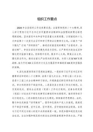 组织工作要点.docx