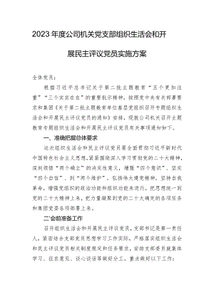 2023年度公司机关党支部组织生活会和开展民主评议党员实施方案.docx