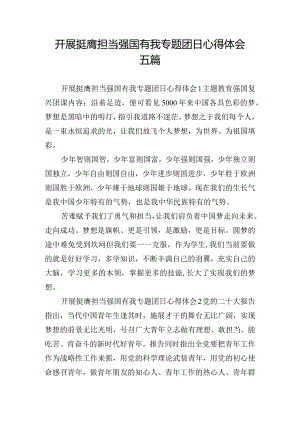 开展挺膺担当强国有我专题团日心得体会五篇.docx