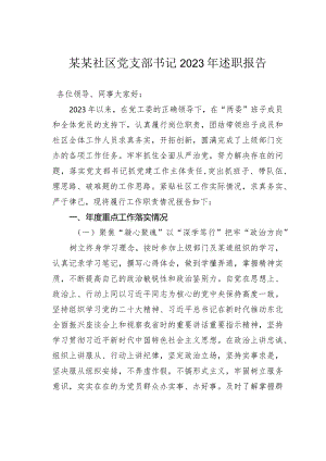 某某社区党支部书记2023年述职报告.docx