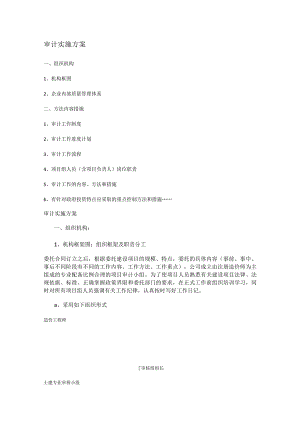 审计实施实施方案.docx